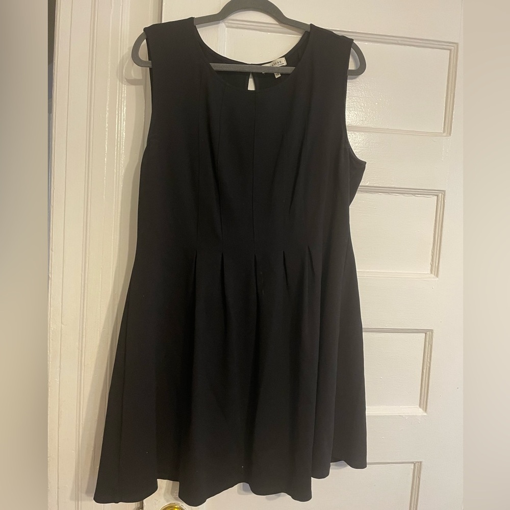 Sleeveless black fit and flare mini dress 1X